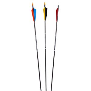 Carbon Core Arrows
